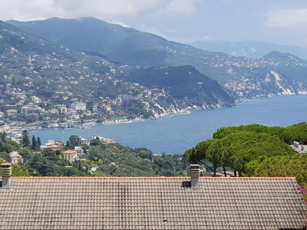 Residence Portofino Est ラッパロ エクステリア 写真